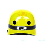 RXR Nutshell Cub Helmet Minions Yellow #R066F-2 